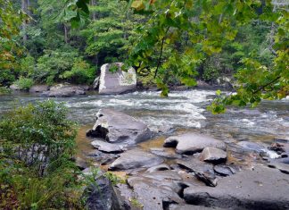 Discover the Small Town of Mineral Bluff