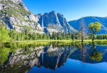 The Complete Guide To Yosemite National Park Camping